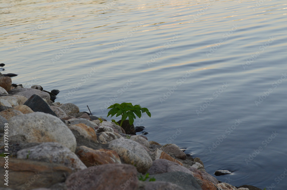 Obraz premium Water surface