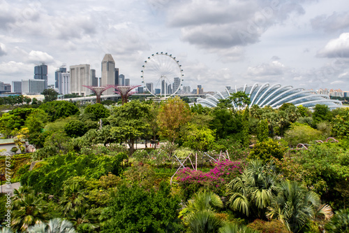 Singapore skyline with skyscrapers, Flower Dome, Supertree Grove and Singapore Flyer Ferris Wheel seen from OCBC Skyway in Gardens by the Bay, with tropical trees below.