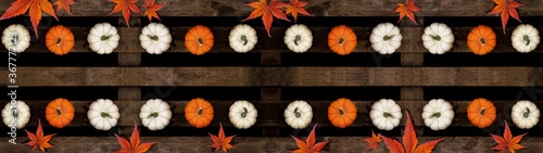 Happy Thanksgiving background banner panorama - Top view from different autumnal orange and white colorful pumpkins and red orange fallen leaves on old rustic wooden pallet and hand drawing lettering