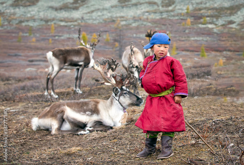 tsaatan boy with his family reindeer in northern Mongolia photo