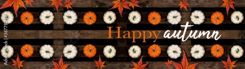 Happy autumn background banner panorama - Top view from different autumnal orange and white colorful pumpkins and red orange fallen leaves on old rustic wooden pallet and hand drawing lettering