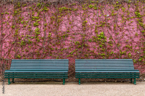 Fototapeta Naklejka Na Ścianę i Meble -  bench in the park