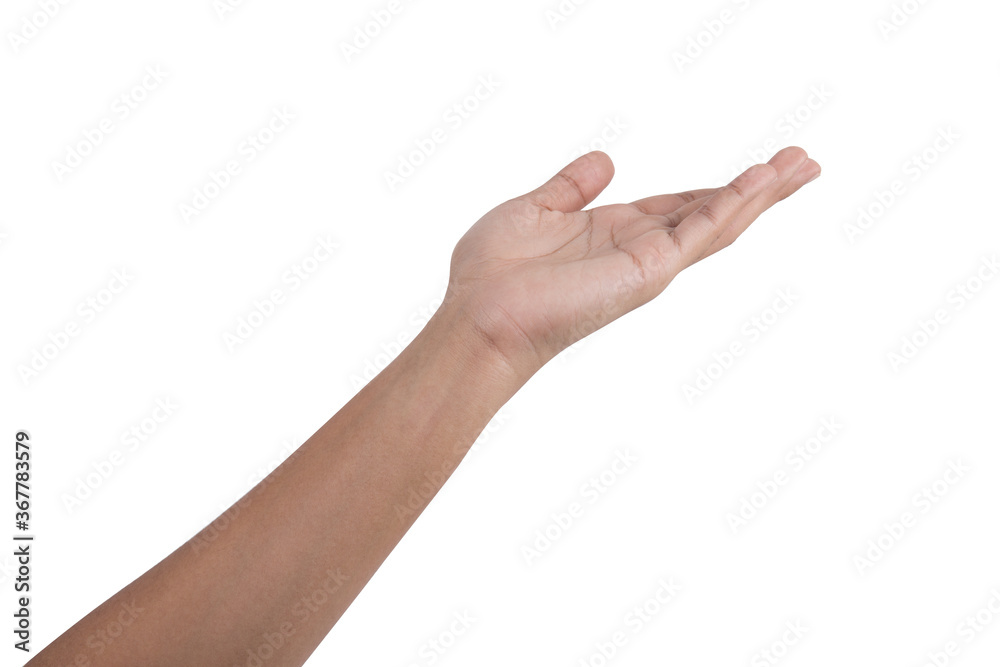 Open woman hand on white background Open woman hand on white background