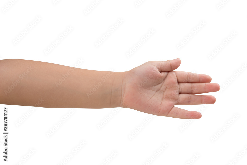 hands of the child isolated on the white background. hands of the child isolated on the white background.