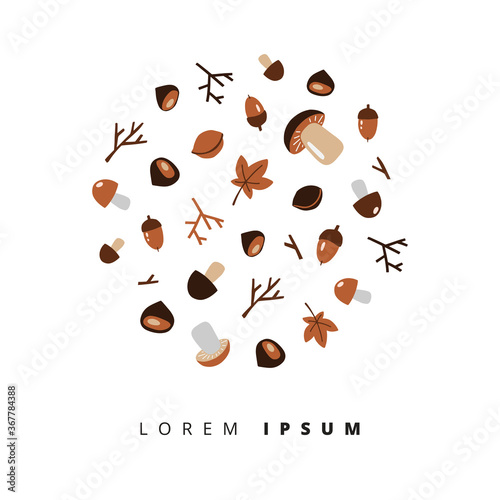 set of isolated autumn leaves, seeds, acorns, chestnuts and berries.