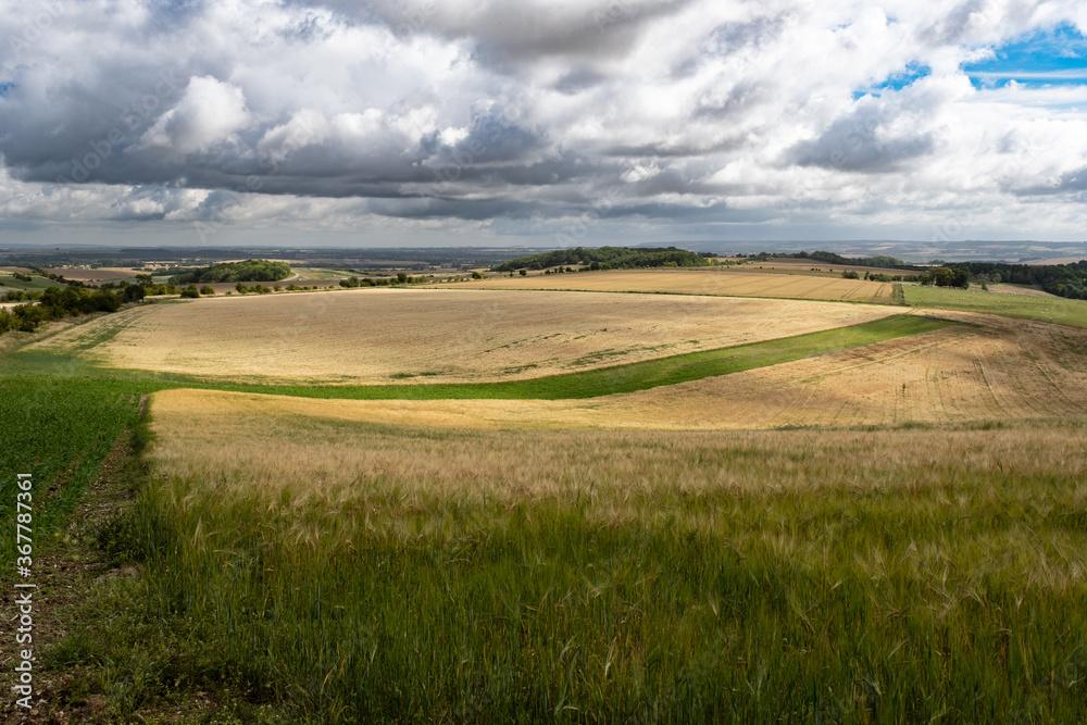 The Ridgeway in Berkshire, near Aldworth, England's oldest road