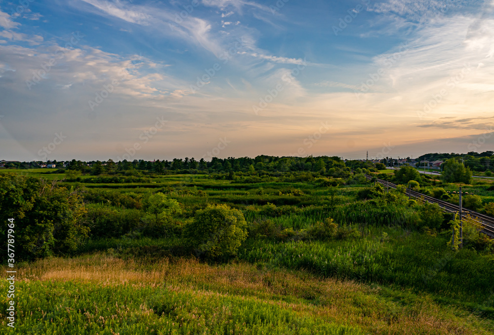 Colour landscape photograph of train tracks cutting through a lush marsh in the afternoon in Kingston, Ontario Canada in the late summer. Colour landscape photograph of train tracks cutting through a lush marsh in the afternoon in Kingston, Ontario Canada in the late summer.