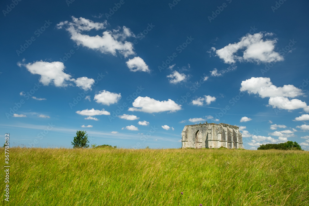 Ruins of the remote 