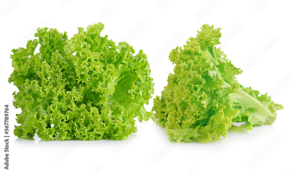 Fresh lettuce leaves isolated on white background. Fresh lettuce leaves isolated on white background.