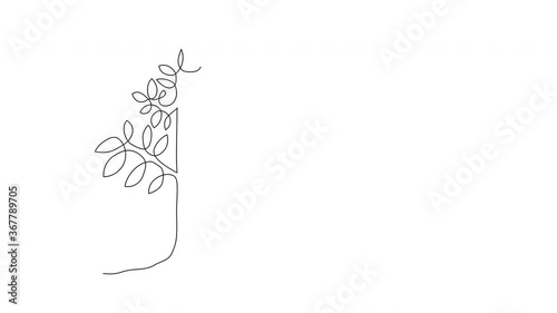 Self drawing single line animation of green tree. Copy space. White background. Continuous line art and painting animation. 
