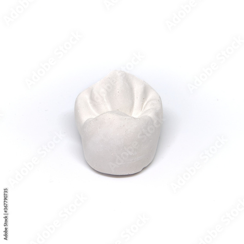 Plaster model of a tooth
