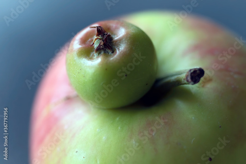 close up of apple with a small apple growing on top