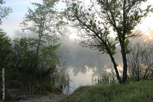 early morning scene on river bank