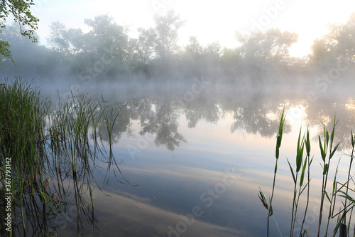 morning foggy river
