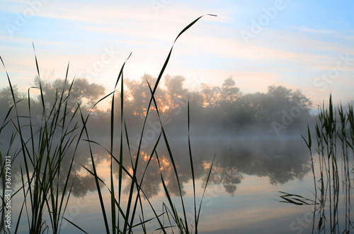 morning scene on river