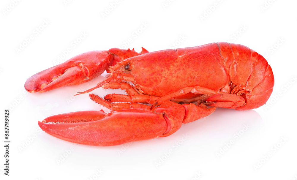 Lobster shrimp Food isolated on white Lobster shrimp Food isolated on white