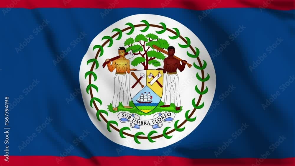 Waving flag loop. National flag of Belize. Realistic animation