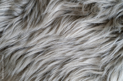 Close up of a gray sheepskin rug, carpet fur.