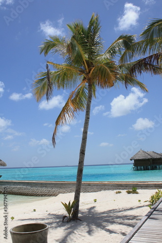 Beautiful paradise beach panorama with white sand  turquoise water sea and overwater bungalows in the turquoise lagoon of an atoll in Maldives island.