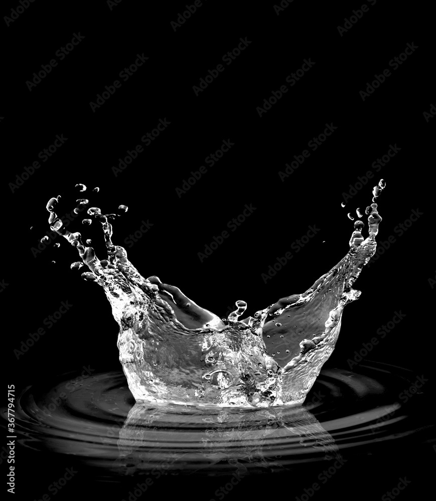 water splash isolated on white background,water 