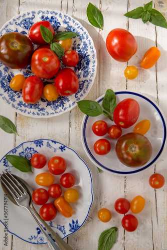 Pomodori di varietà diverse divisi in tre piatti su tavolo di  legno bianco photo