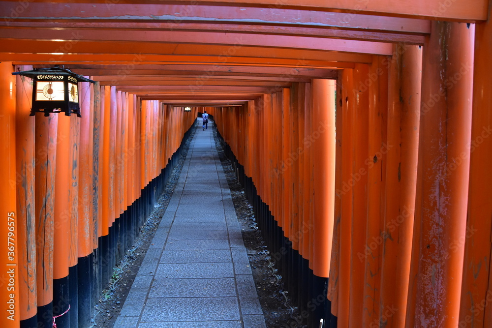 A thousant of gate in Inari shrine, Kyoto A thousant of gate in Inari shrine, Kyoto