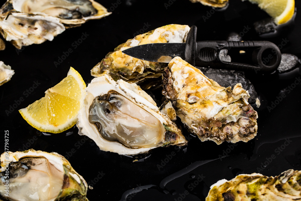 Opened oysters, ice and lemon on a black background. Opened oysters, ice and lemon on a black background.