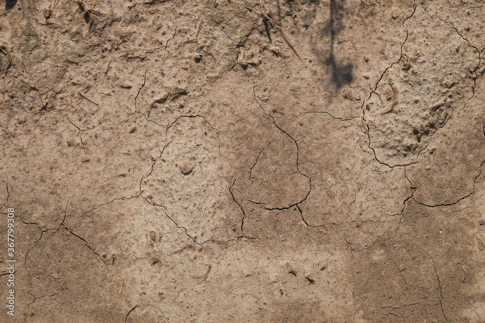A lifeless land, craquelure texture in nature A lifeless land, craquelure texture in nature