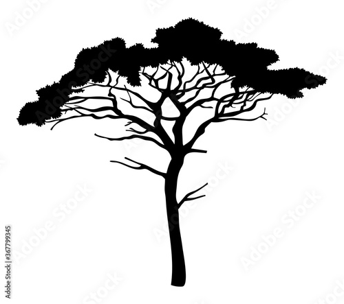 Cartoon illustration of black tree isolated at white background. Tree with crown. Nature concept. Vector emblem. Landscape interface  icon tree of wood. Flat style of organic plant