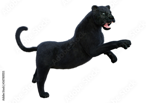 3D Rendering Black Panther on White