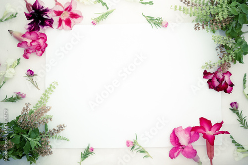 Pink azalea flowers , white asystasia gangetica flowers,green basil  and blank paper sheet on a pink background.spring border pink and white blossom, top view, blak paper  for banner, flat lay. © death_rip