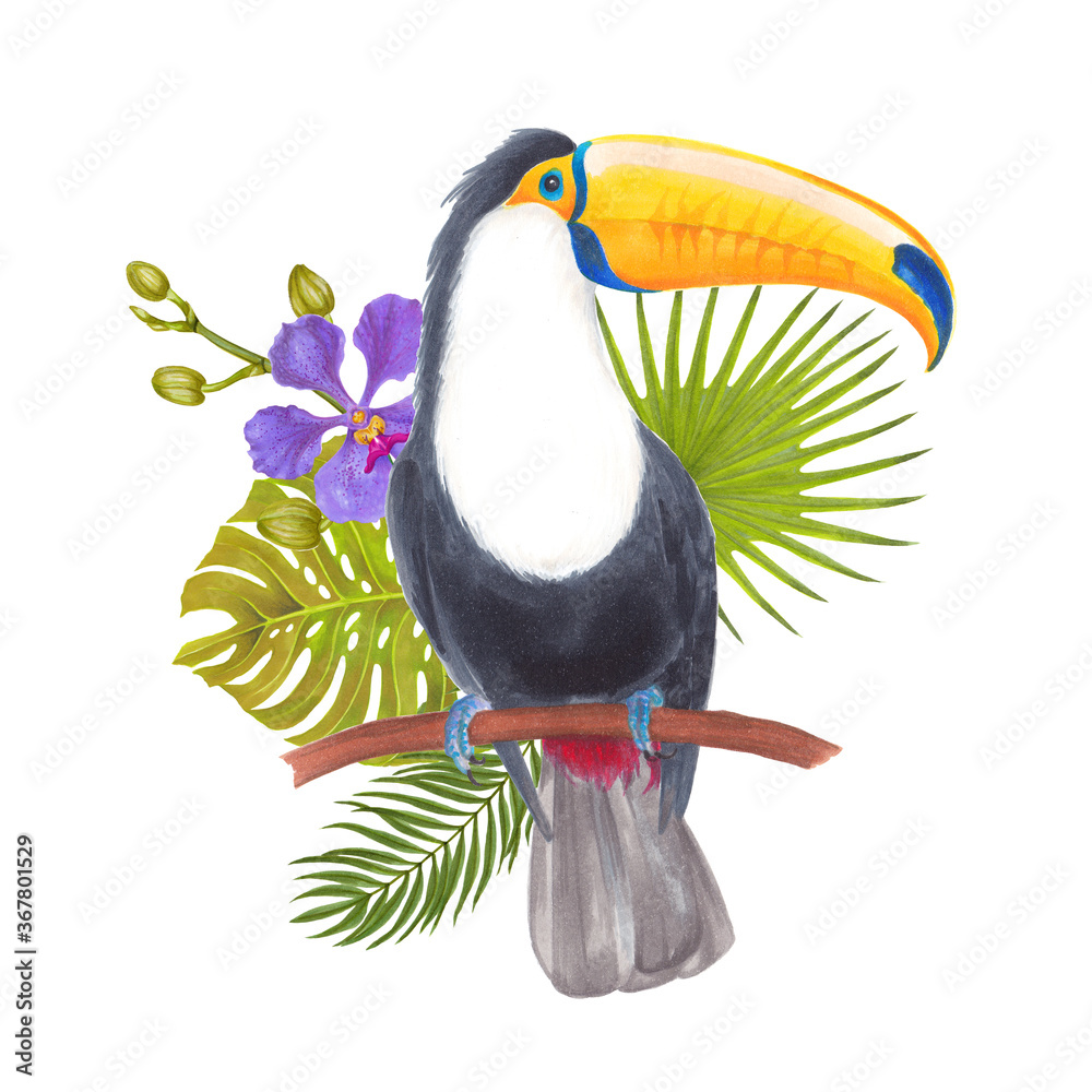 Obraz premium Watercolor marker tropical toucan bird with orchid flowers, strelitzia flower, heliconia, areca palm, fan palm. Colorful tropic background print isolated on white.