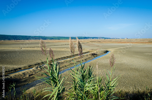Panorama delle Saline di Sicciole lungo la ciclovia Parenzana in Istria	 photo