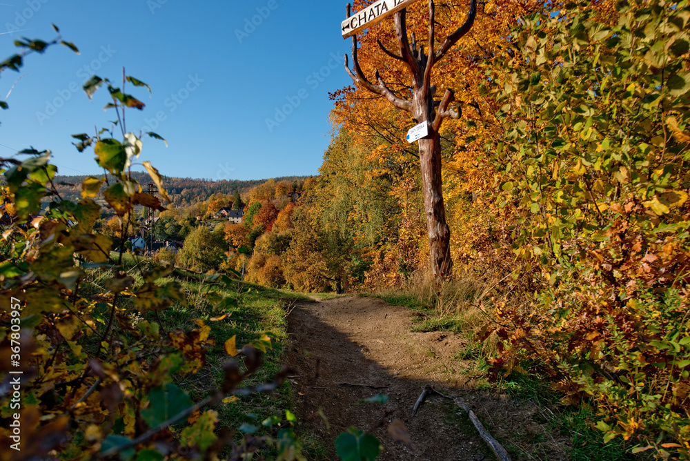 Fototapeta premium Droga do Chaty Izerskiej