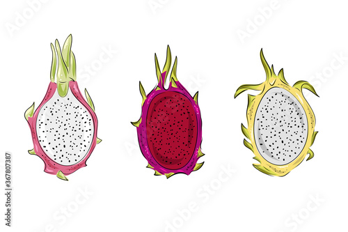 Dragon fruit vector graphics set. Hand drawn tropical food illustration. Pink, red and yellow summer dragonfruit. Sliced pitahaya. Botanical vintage sketch for label, juice packaging design and menu.