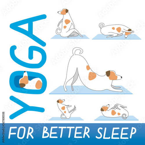 Yoga for better sleep and cute jack russell terrier as character, flat or outline vector stock illustration with dog and asana