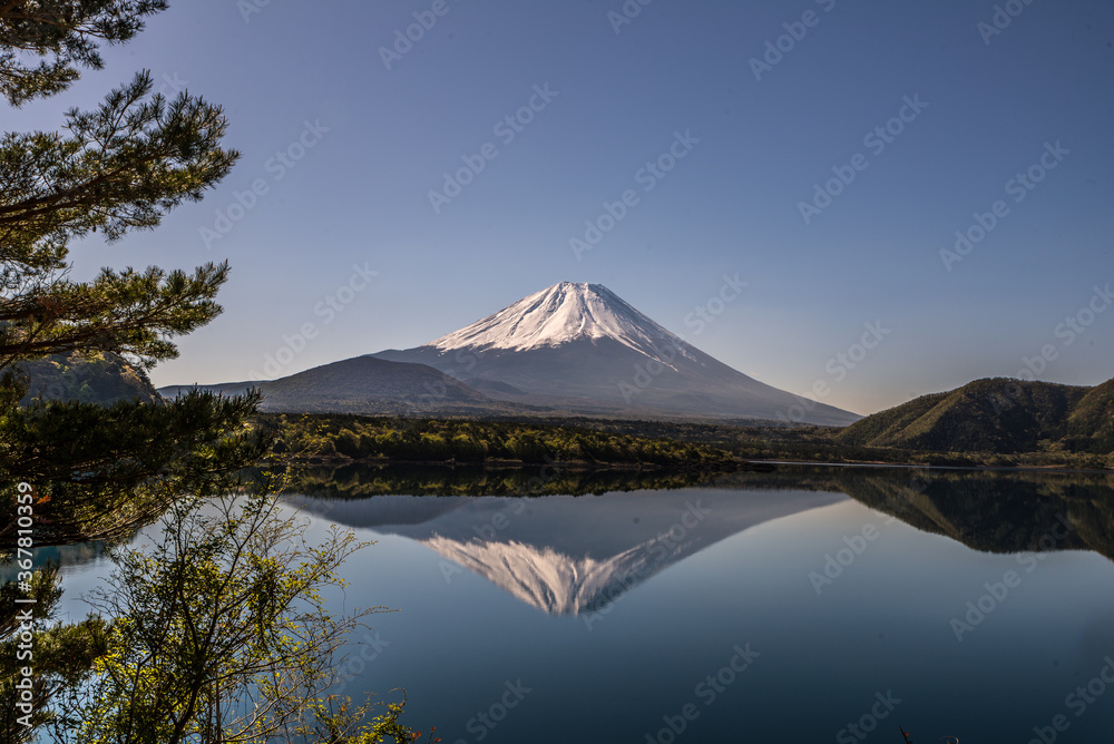 Mt Fuji 