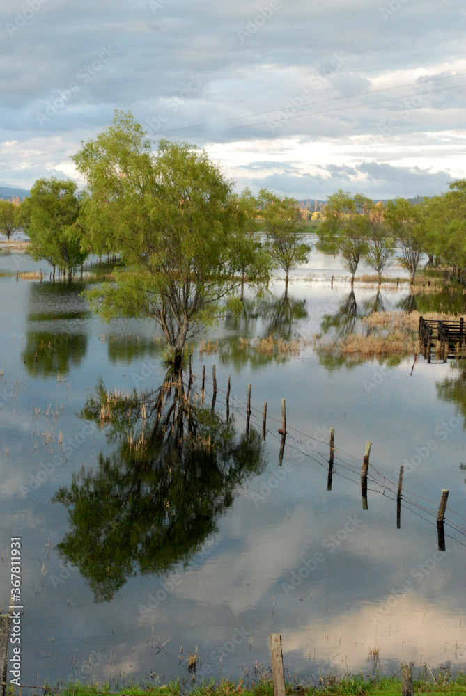 Fototapeta premium Paisaje inundación