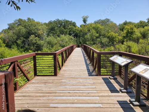 wooden bridge in the forest © Duc
