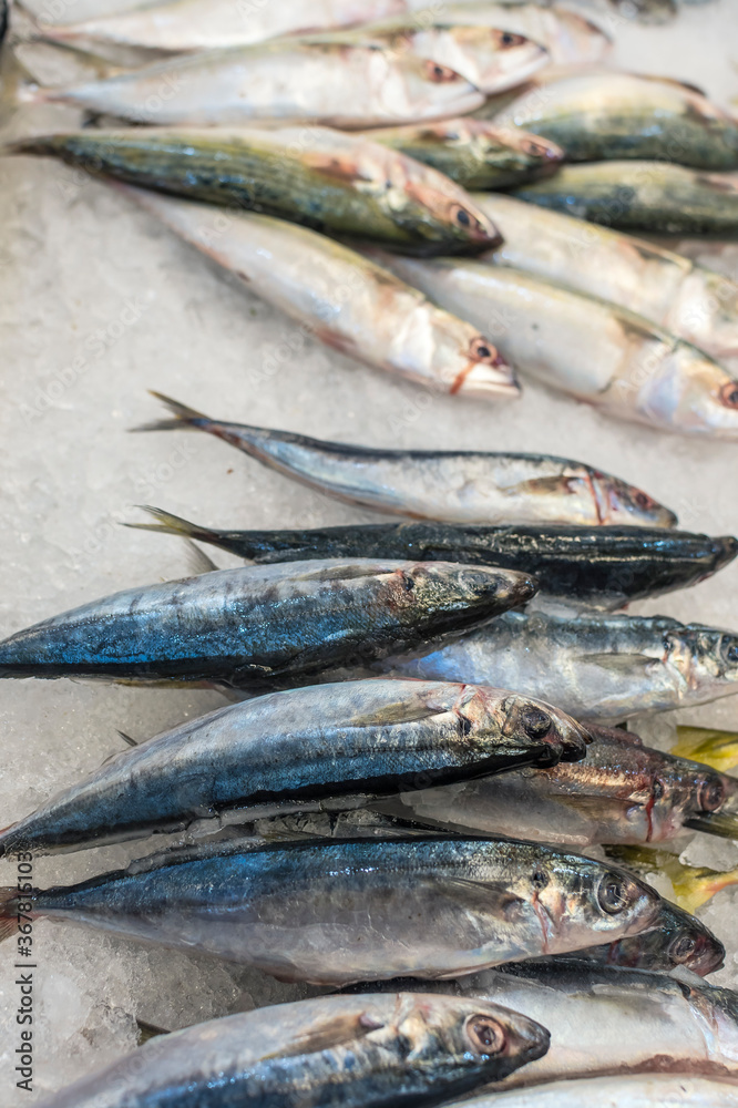 Mackerel scad, or Speedo at the fish section of a supermarket. Known as  Galunggong in Philippines and Ōpelu in Hawaii. Stock Photo | Adobe Stock