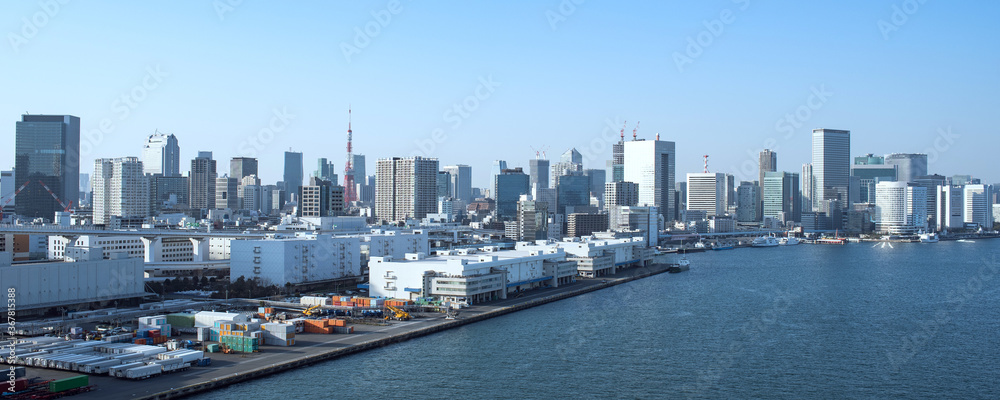Fototapeta premium Tokyo waterfront skyline and Tokyo Tower with copy space 東京湾と湾岸沿いのビル群 背景 東京タワー