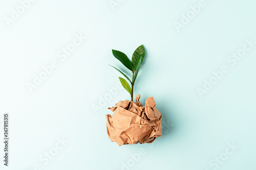 Craft paper with green leaves sprout top view. Flat lay Zero waste, eco friendly, natural organic plastic free concept. Earth, biodegradable with copy space on mint background. photo