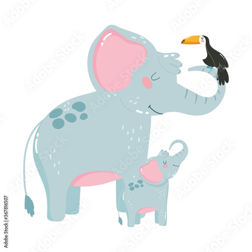 cute animals elephants toucan nature wild cartoon