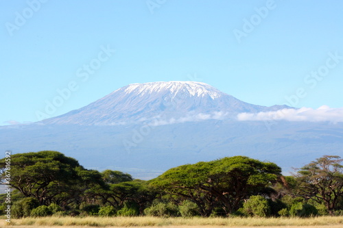 Kilimandjaro and forest  with eternal snow  in Kenya Tanzania  Africa.