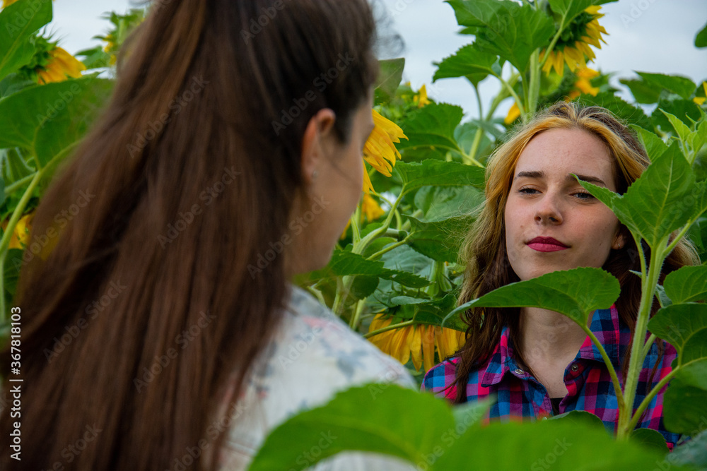 Naklejka premium Conversation in a sunflower field