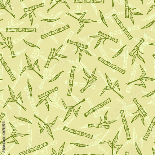Hand Drawn Bamboo or Sugarcane Plants Vector Seamless Pattern. Stalks with leaves endless background.