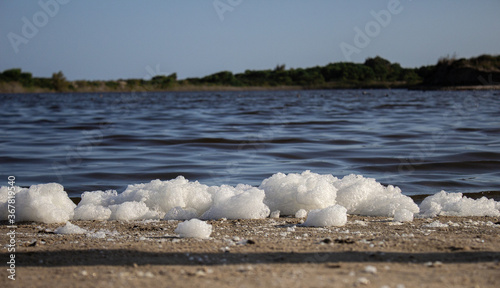 Pollution at the seashore