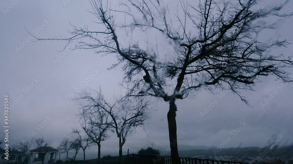 A rainy landscape through a glass with leafless trees A rainy landscape through a glass with leafless trees