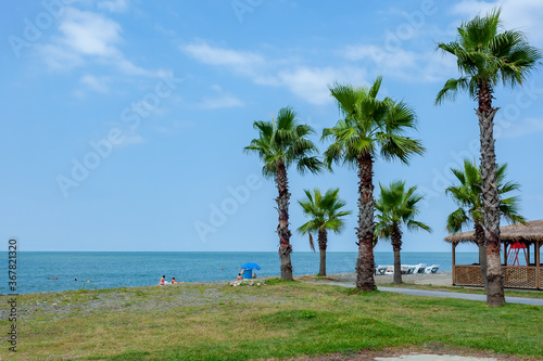 Palm trees on the Black Sea coast in Anaklia, Georgia photo