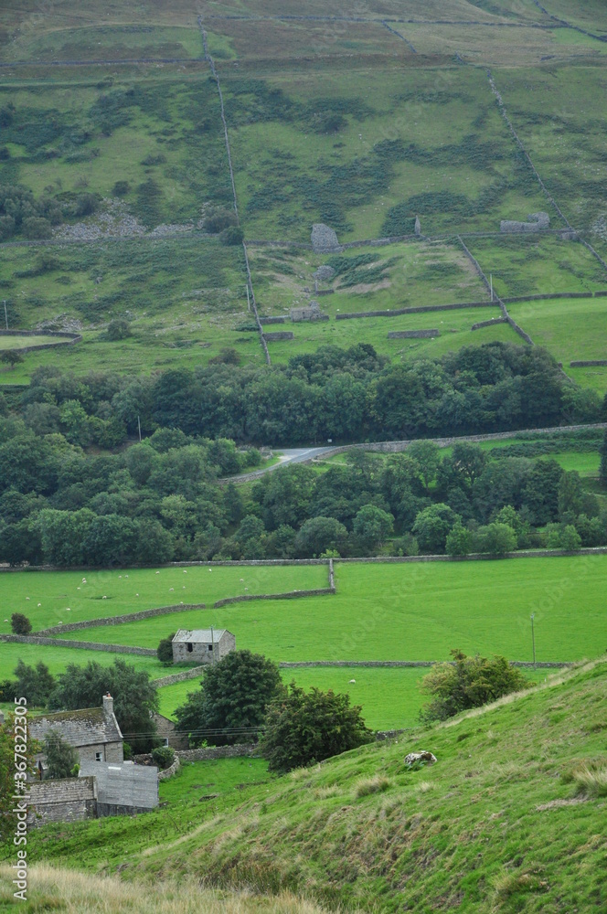 rural landscape with green fields rural landscape with green fields